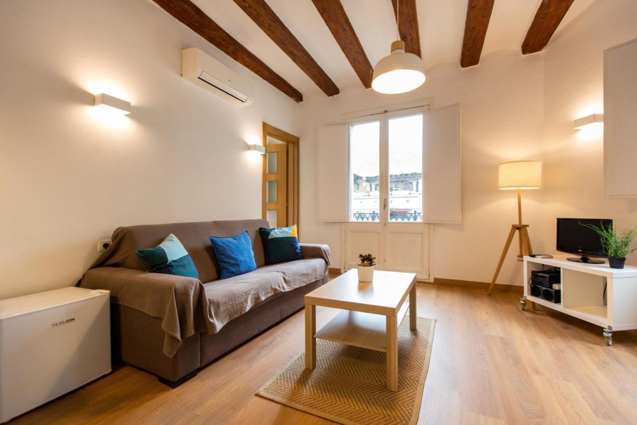 Apartment Ripoll *